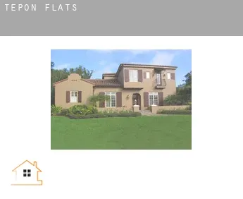 Tepon  flats