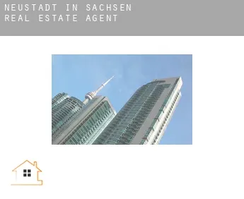 Neustadt in Sachsen  real estate agent
