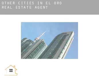 Other cities in El Oro  real estate agent