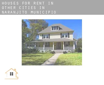 Houses for rent in  Other cities in Naranjito Municipio