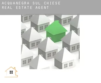 Acquanegra sul Chiese  real estate agent