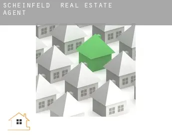Scheinfeld real estate agent