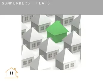 Sommerberg  flats