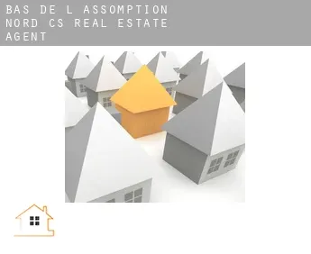 Bas-de-L'Assomption-Nord (census area)  real estate agent