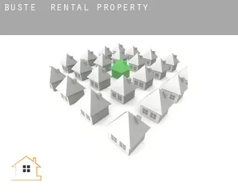 Büste  rental property