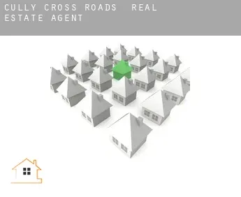 Cully Cross Roads  real estate agent