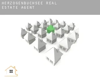 Herzogenbuchsee  real estate agent