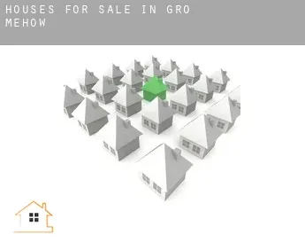 Houses for sale in  Groß Mehßow
