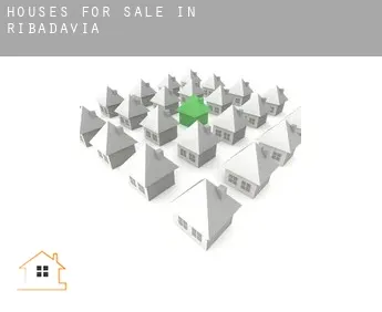 Houses for sale in  Ribadavia