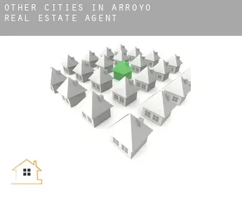 Other cities in Arroyo  real estate agent