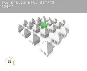 San Carlos  real estate agent