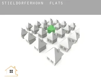 Stieldorferhohn flats