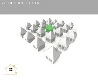 Zuidhorn  flats