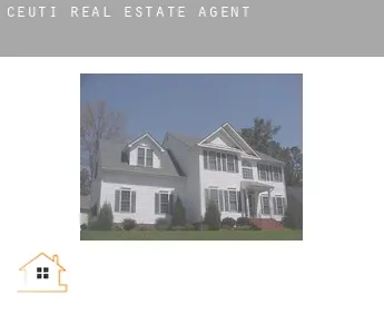 Ceuti  real estate agent