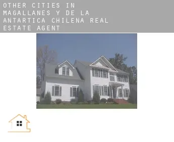 Other cities in Magallanes y de la Antartica Chilena  real estate agent