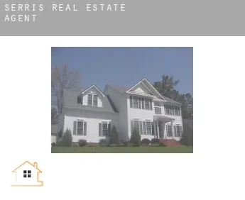 Serris  real estate agent