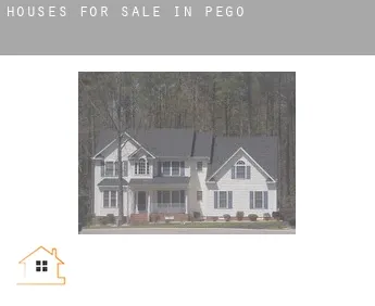 Houses for sale in  Pego