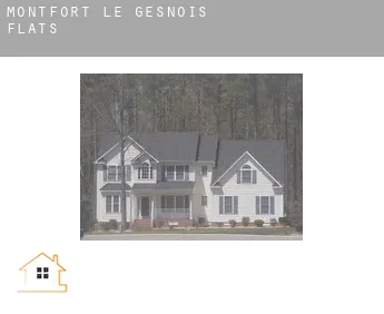 Montfort-le-Gesnois  flats