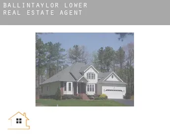Ballintaylor Lower  real estate agent