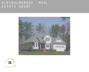 Kleinalmerode  real estate agent