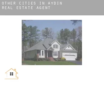 Other cities in Aydin  real estate agent