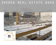 Sweden  real estate agent