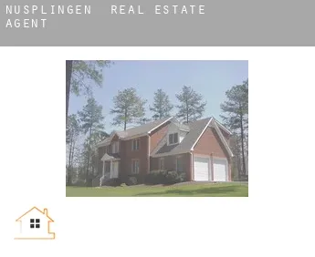 Nusplingen  real estate agent