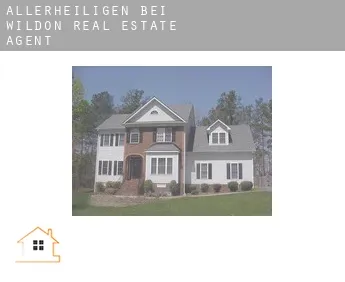 Allerheiligen bei Wildon  real estate agent