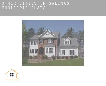 Other cities in Salinas Municipio  flats