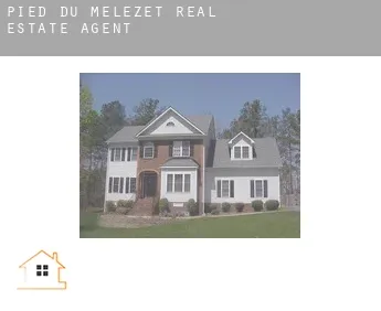 Pied du Mélézet  real estate agent
