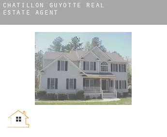 Châtillon-Guyotte  real estate agent