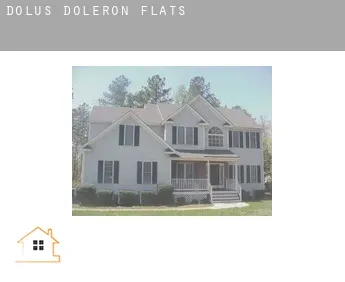 Dolus-d'Oléron  flats