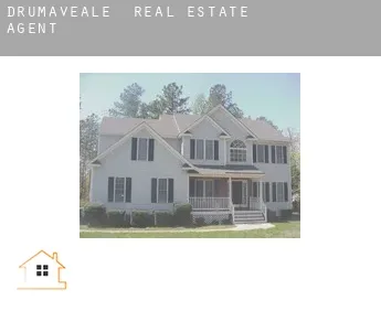 Drumaveale  real estate agent