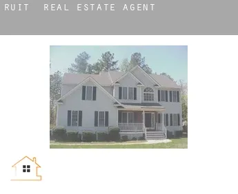 Ruit  real estate agent