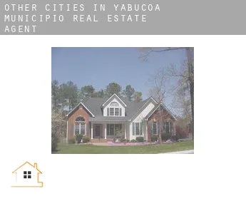 Other cities in Yabucoa Municipio  real estate agent