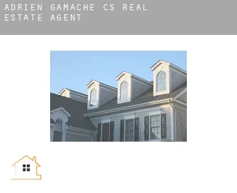 Adrien-Gamache (census area) real estate agent