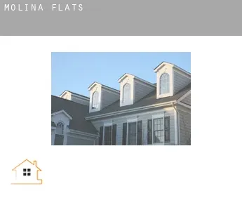 Molina  flats