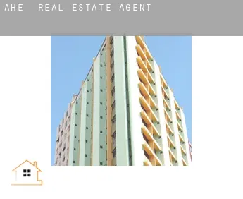 Ahe  real estate agent
