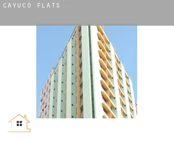 Cayuco  flats