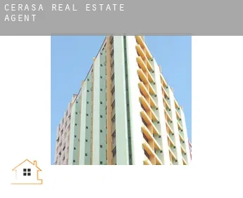 Cerasa  real estate agent