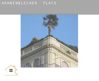Hahnenblecher  flats